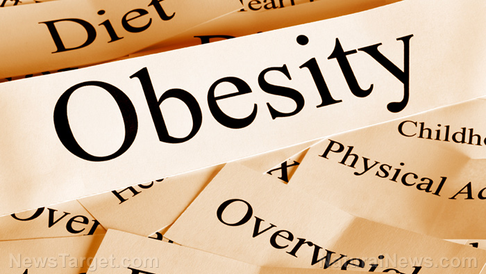 Study: Extreme adiposity associated with obesity starts with inflammation in the brain