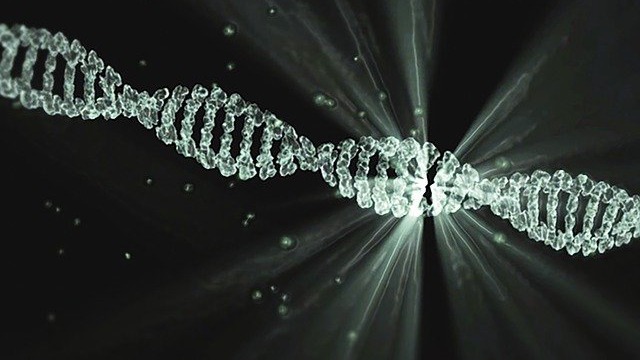 To Make Memories, DNA Must Break