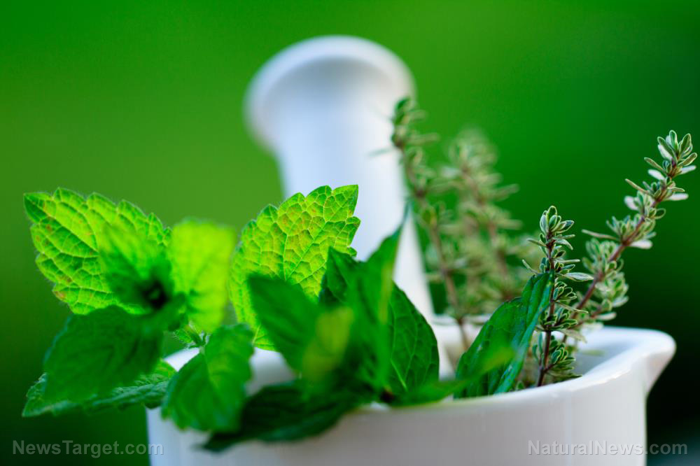 5 Kid-friendly herbs for treating different ailments