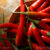 Compounds in ginger and chili peppers found to prevent cancer