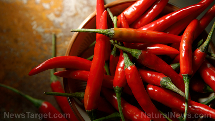 Compounds in ginger and chili peppers found to prevent cancer