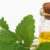 Lemon Balm Essential Oil May Enhance Glucose Uptake