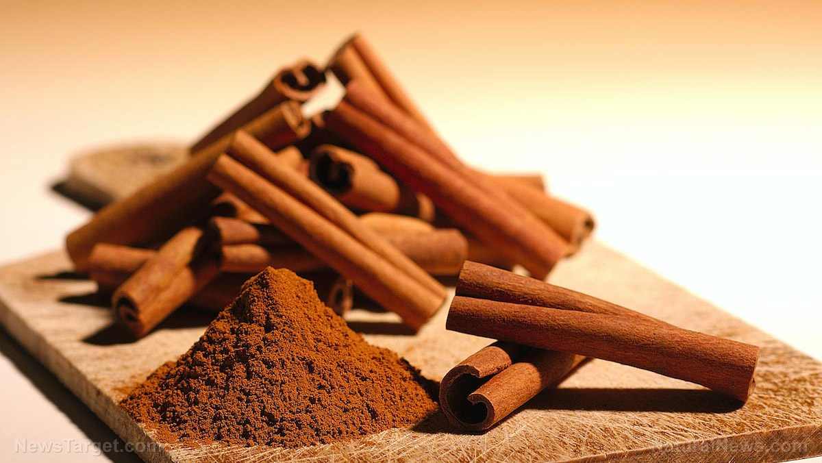 Cinnamon found to help prevent Alzheimer’s disease