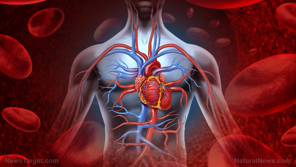 Are you deficient in nitric oxide, the most critical molecule for cardiovascular health?