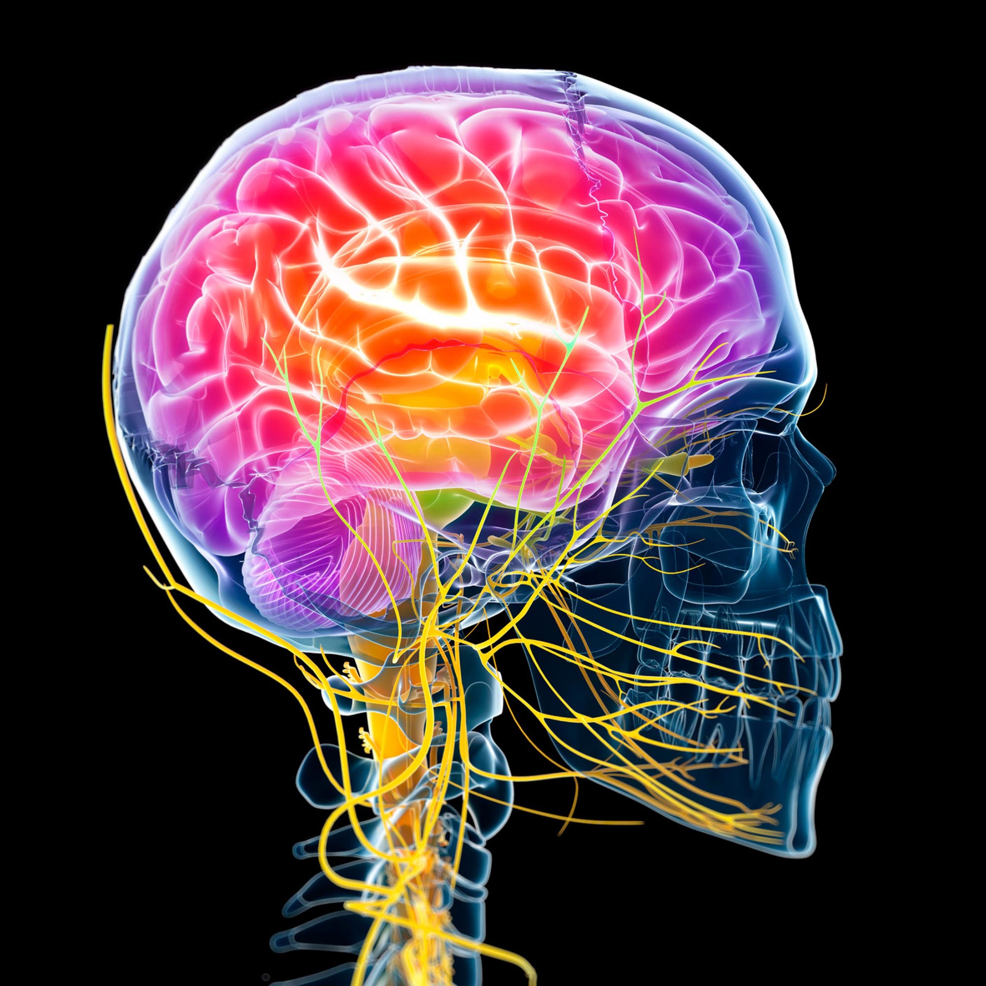 Decoding Neurological Mysteries: How Blood Triggers Brain Disease