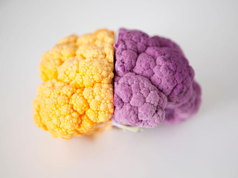 12 Best Foods for a Healthy Brain and Better Memory