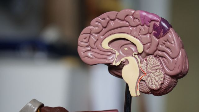 Brain Biomarkers Could Redefine Mental Health Diagnosis