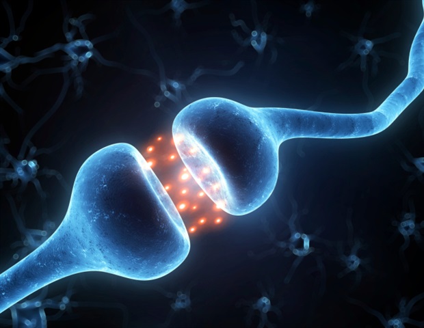 Melatonin enhances long-term memory by modulating protein phosphorylation