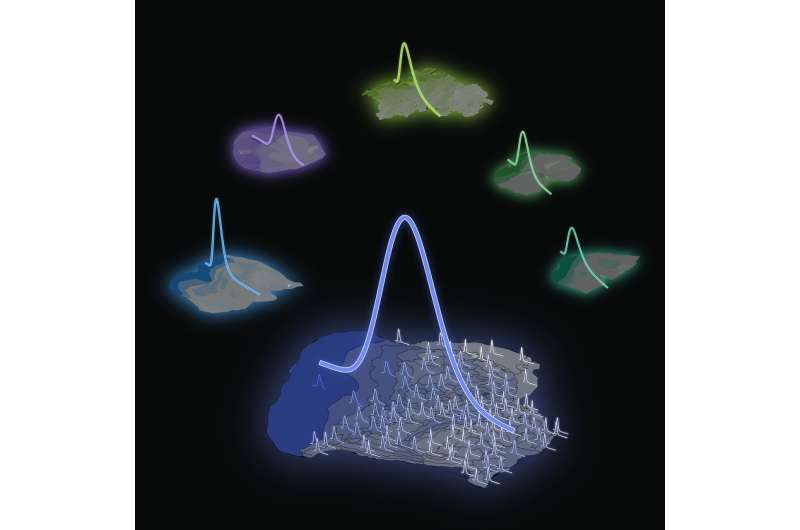 Researchers identify mathematical rule behind the distribution of neurons in our brains