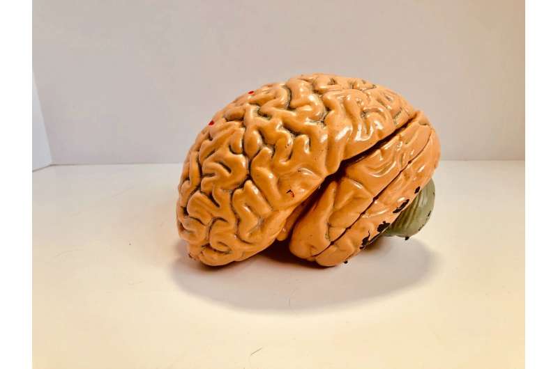 Researchers highlight benefits of sharing human brain data