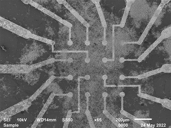 Nanowire 'brain' network learns and remembers 'on the fly'
