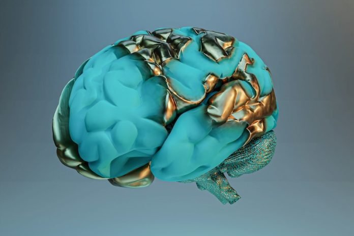 Study questions benefits of brain stimulation for memory improvement