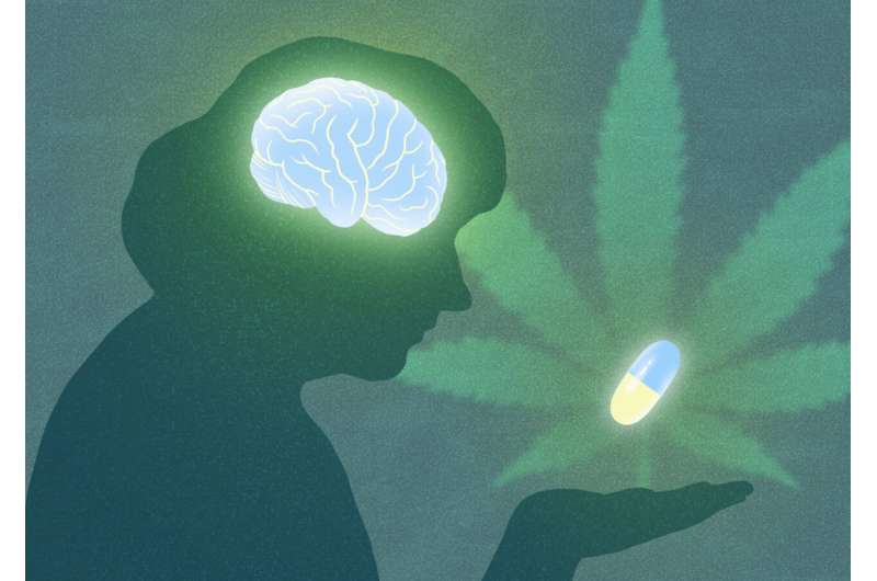 Protecting brain cells with cannabinol: Research suggests CBN shows promise for treating neurological disorders
