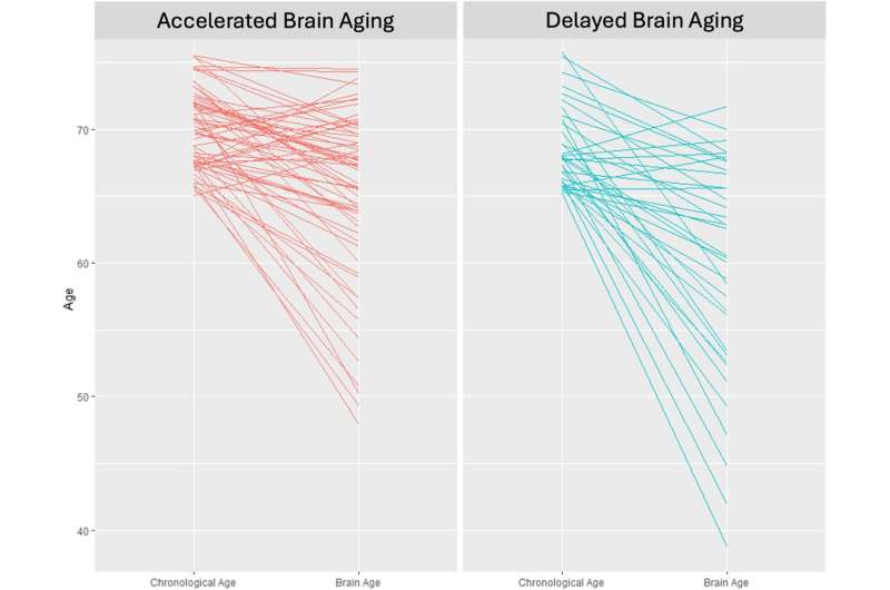 Study: Certain nutrients may slow brain aging